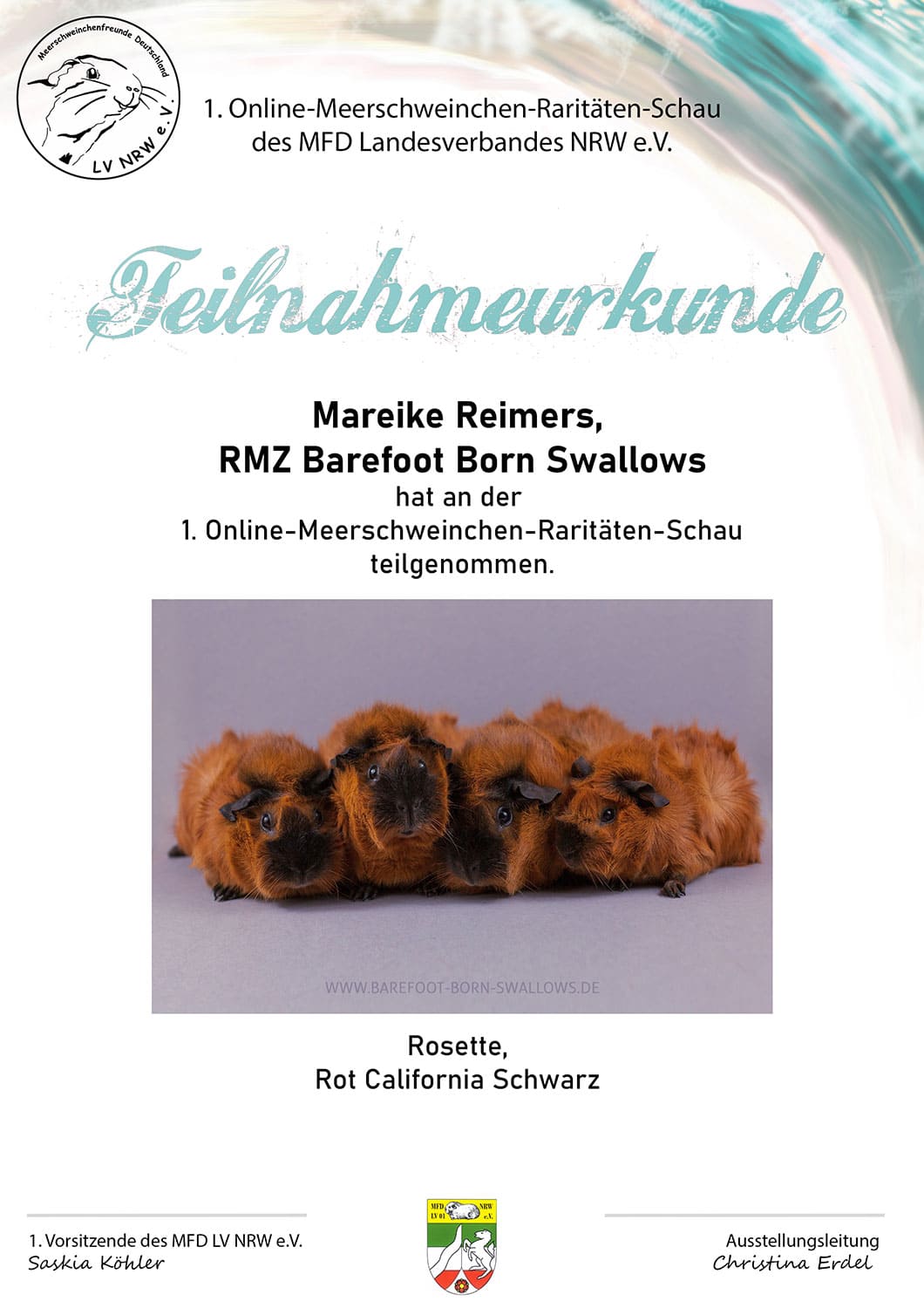 1. Online-Meerschweinchen-Raritäten-Schau des MFD LV NRW e.V. - Rot California Schwarz